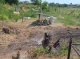На кладовищі під Сумами спалювали відходи: екоінспекція вживає заходів